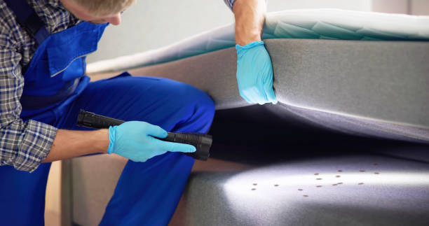 Best Cockroach Control Services  in Nocatee, FL